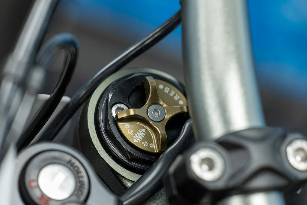 2025 (12.5KW) Surron Ultra Bee